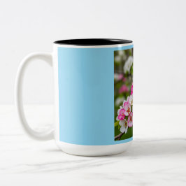Bicolor Taza de equilibrio armonioso