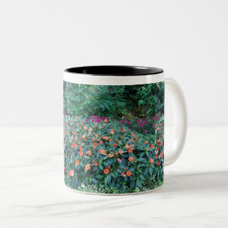 Bicolor Taza de Flor