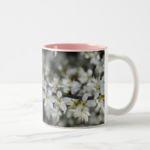 Bicolor Taza de foto de primavera, flores blancas