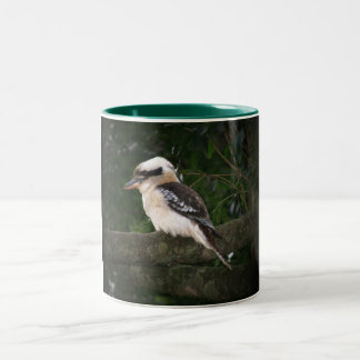 Bicolor Taza de Kookaburra de las montañas de Bunya