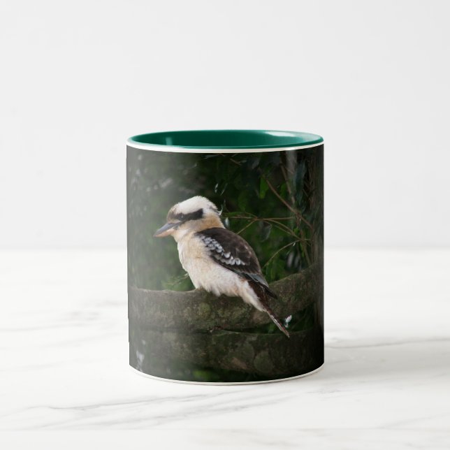 Bicolor Taza de Kookaburra de las montañas de Bunya (Centro)