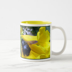 Bicolor Taza de la abeja de Esperanza