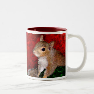 Bicolor Taza de la ardilla