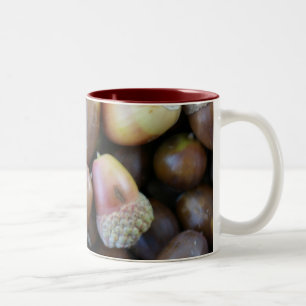 Bicolor Taza de la bellota