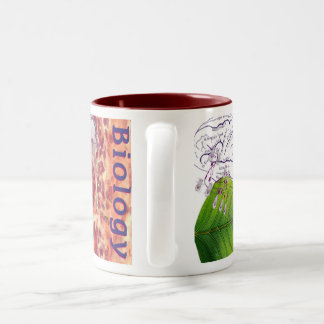 Bicolor Taza de la biología