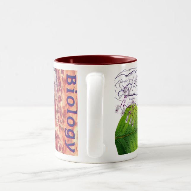 Bicolor Taza de la biología (Mango)