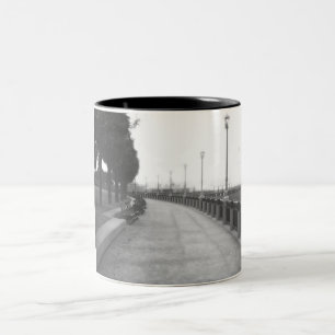 Bicolor Taza de la calzada