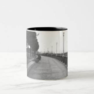 Bicolor Taza de la calzada