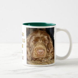 Bicolor Taza de la cara del perro de aguas de Sussex
