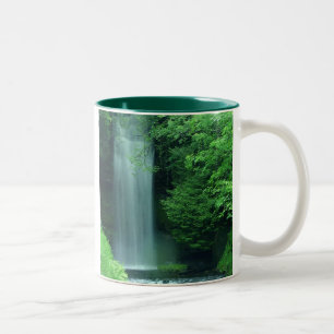 Bicolor Taza de la cascada
