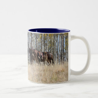 Bicolor Taza de la equitación