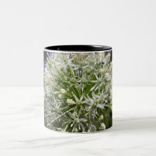 Bicolor Taza de la flor del allium