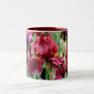 Bicolor Taza de la flor del iris de Borgoña