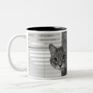 Bicolor Taza de la foto del gato