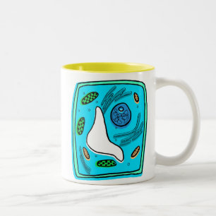 Bicolor Taza de la fotosíntesis