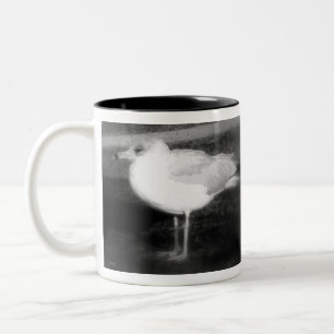Bicolor Taza de la GAVIOTA