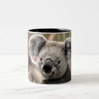 Bicolor Taza de la koala