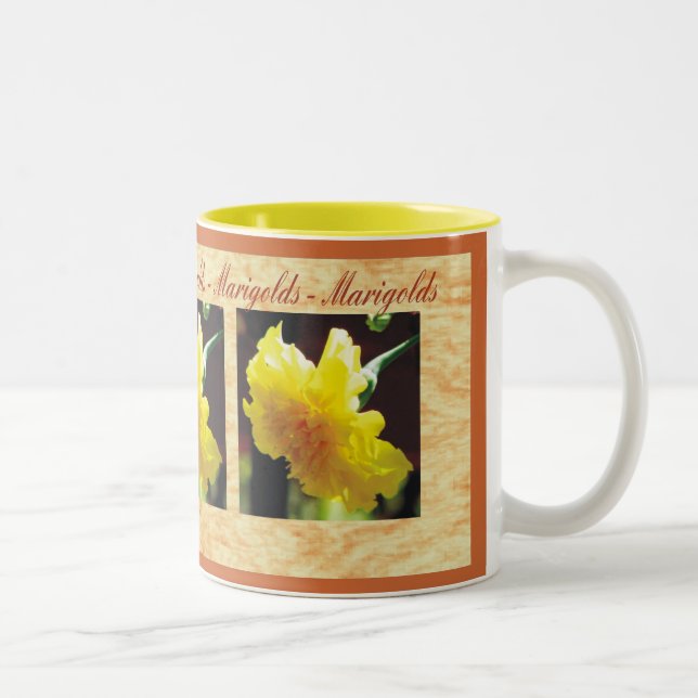 Bicolor Taza de la maravilla (Derecha)