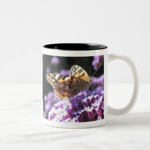 Bicolor Taza de la mariposa