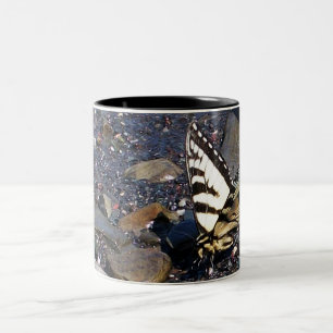 Bicolor Taza de la mariposa 1 de Swallowtail del tigre
