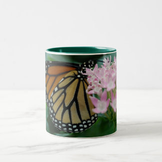 Bicolor Taza de la mariposa de monarca