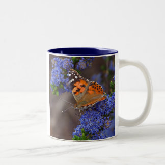 Bicolor Taza de la mariposa de monarca