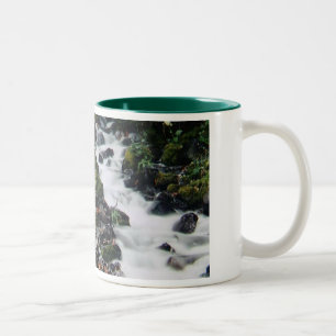 Bicolor Taza de la niebla del otoño