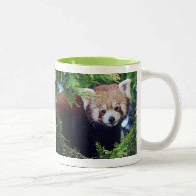 Bicolor Taza de la panda roja (Derecha)