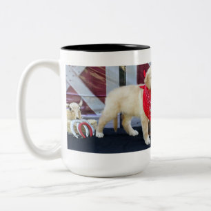Bicolor Taza de la tolerancia del vaquero