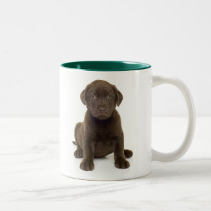 Bicolor Taza de Labrador del chocolate