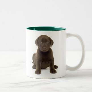 Bicolor Taza de Labrador del chocolate