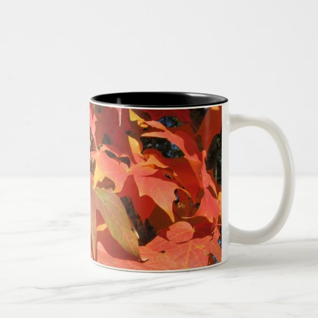 Bicolor taza de las hojas (Derecha)
