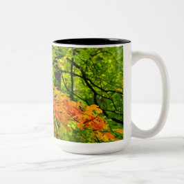 Bicolor Taza de las hojas de otoño