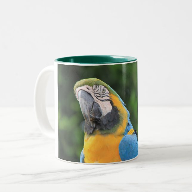 Bicolor Taza de loro (Anverso izquierdo)