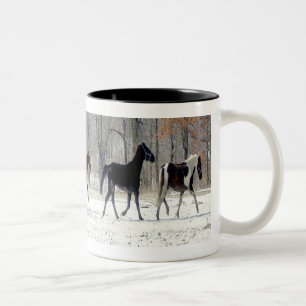 BICOLOR TAZA DE LOS CABALLOS SALVAJES