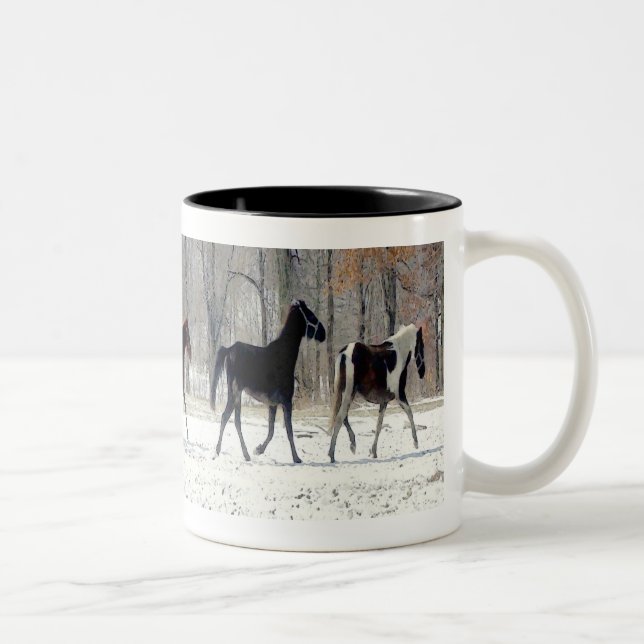 BICOLOR TAZA DE LOS CABALLOS SALVAJES (Derecha)