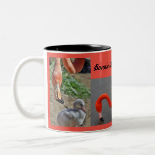 Bicolor Taza de los flamencos