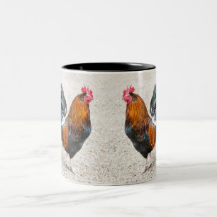 Bicolor Taza de los gallos