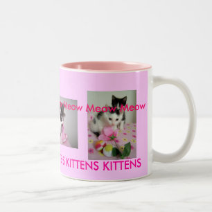 Bicolor Taza de los gatitos