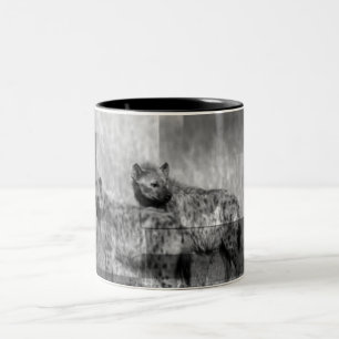 Bicolor Taza de los Hyenas