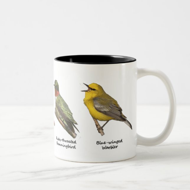 Bicolor Taza de los pájaros (Derecha)