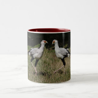 Bicolor Taza de los pájaros de secretaria del baile