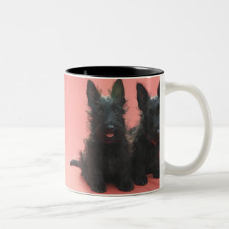 Bicolor Taza de los perritos de Terrier del escocés