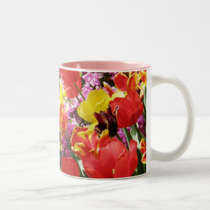 Bicolor Taza de los tulipanes