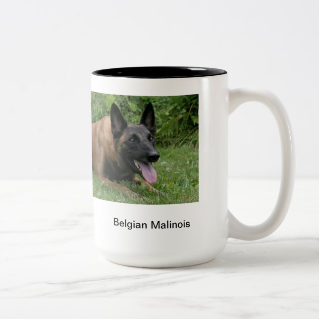 Bicolor Taza de Malinois del belga (Derecha)
