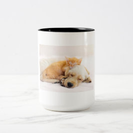 Bicolor Taza de mascota