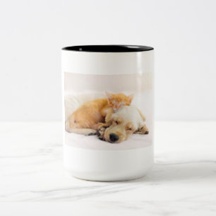 Bicolor Taza de mascota