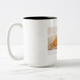 Bicolor Taza de mascota