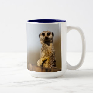 Bicolor Taza de Meerkat