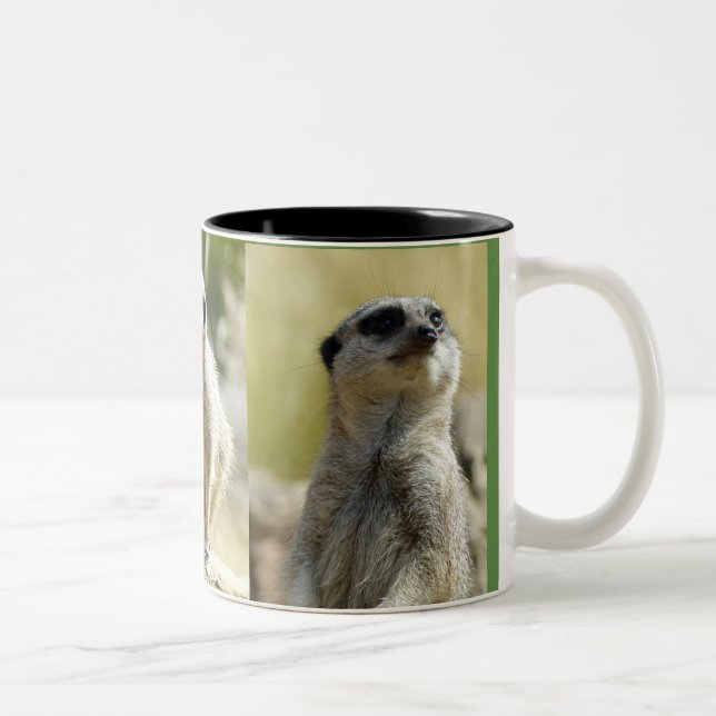 Bicolor Taza de Meerkat (Derecha)